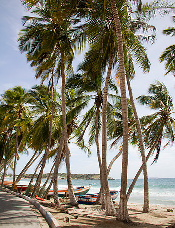 El Tirano, Isla de Margarita