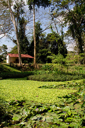 Parque la Exótica Flora Tropical en Yaracuy